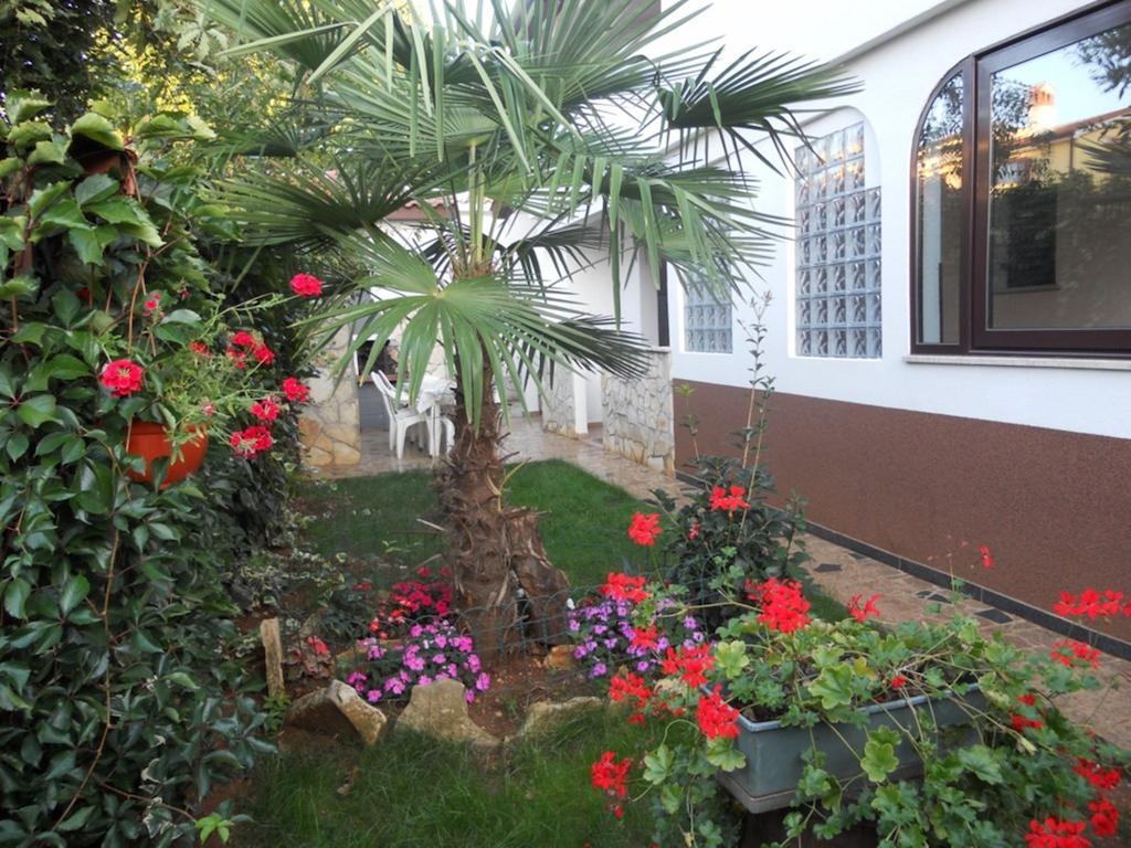 2 App For 3 Persons With 2 Terraces Near Beach&town Appartement *
