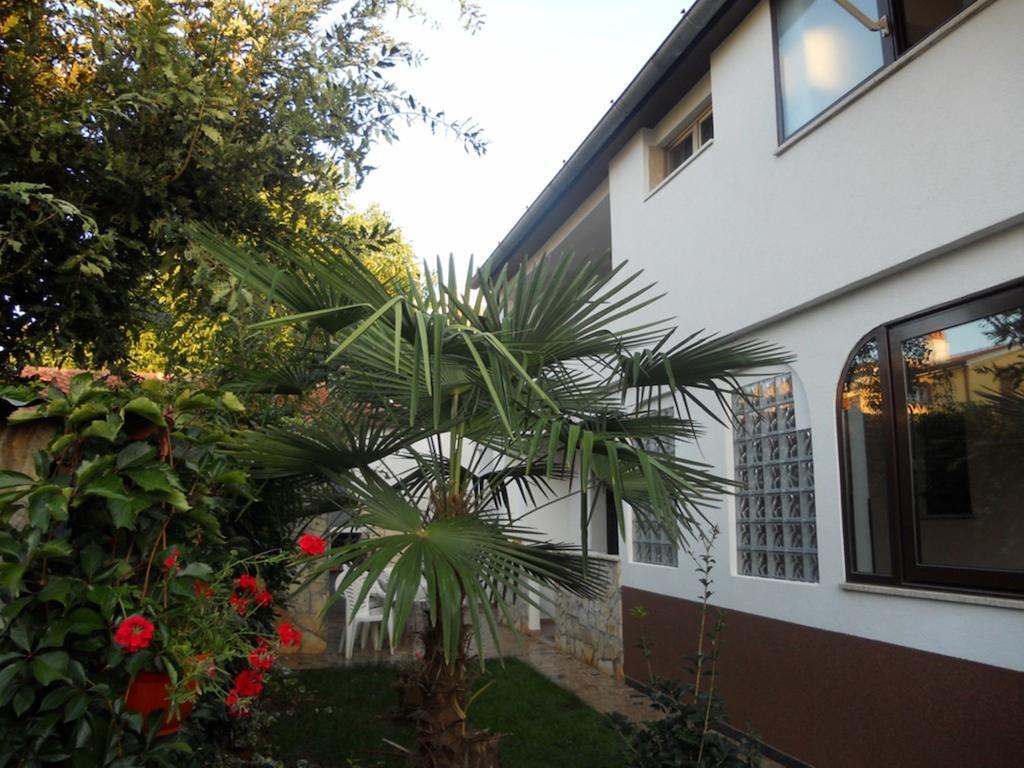 Appartement 2 App For 3 Persons With 2 Terraces Near Beach&town
